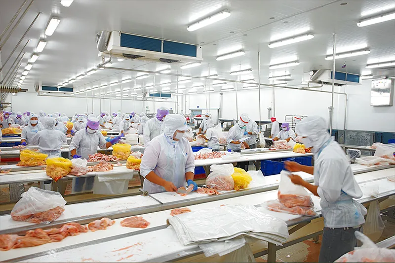 Alimentos y bebidas